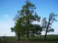 Nature park -Lonj field