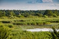 Nature park Lonjsko Polje in Croatia, Europe Royalty Free Stock Photo