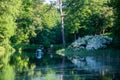 Nature park in the open air lake with house for swans landscape