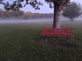 Nature park red bench tree fog