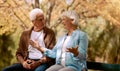 Nature, park and retirement with a senior couple sitting together on a wooden bench outdoor in a garden. Spring, love Royalty Free Stock Photo