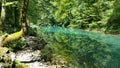 Nature park Risnjak Croatia Royalty Free Stock Photo