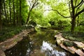 Nature park scenery, Hangzhou Royalty Free Stock Photo