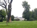 Nature, park, tree, grass, back castle detail