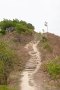 the nature path at Wilson Trail Sectio no4 10 Dec 2006