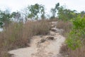the nature path at Wilson Trail Sectio no4 10 Dec 2006