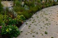 Nature paths in the park made of fine rolled trowel. irregular stone paving is overgrown with individual tufts of grass. it gives Royalty Free Stock Photo