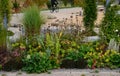 Nature paths in the park made of fine rolled trowel. irregular stone paving is overgrown with individual tufts of grass. it gives Royalty Free Stock Photo