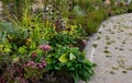 Nature paths in the park made of fine rolled trowel. irregular stone paving is overgrown with individual tufts of grass. it gives Royalty Free Stock Photo