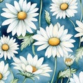 Nature pattern summer background white floral wallpaper flower chamomile spring seamless Royalty Free Stock Photo