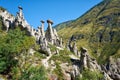 Nature phenomenon Stone Mushrooms in Altai mountains near river