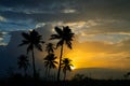 Nature photography - Dramatic sunset with the silhouetted coconut palm trees