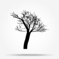 Nature and plant concept represented by dry tree icon. isolated and flat illustration vector eps 10 dead trees silhouette Royalty Free Stock Photo