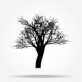 Nature and plant concept represented by dry tree icon. isolated and flat illustration vector eps 10 dead trees silhouette Royalty Free Stock Photo