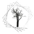 Nature and plant concept represented by dry tree icon. isolated and flat illustration vector eps10 dead trees silhouette Royalty Free Stock Photo