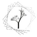 Nature and plant concept represented by dry tree icon. isolated and flat illustration vector eps10 dead trees silhouette Royalty Free Stock Photo