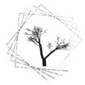 Nature and plant concept represented by dry tree icon. isolated and flat illustration vector eps10 dead trees silhouette Royalty Free Stock Photo