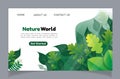 Nature plant foliage fegetation landing page bundle set Royalty Free Stock Photo