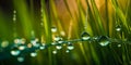 Nature plant fresh raindrop. Summer waterdrop on green grass. generative ai Royalty Free Stock Photo