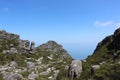Nature, plants, shrubs, rocks on top of Table Mountain National Park, cape town south africa travel Royalty Free Stock Photo
