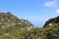 Nature, plants, shrubs, vegetation, rocks on top of Table Mountain National Park, cape town south africa travel