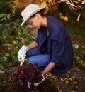 Nature, plants and woman gardening for sustainable planting in soil in outdoor park. Growth, organic and female botanist