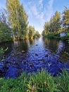 Nature, pond, ducks, countryside Royalty Free Stock Photo