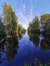 Nature, pond, ducks, countryside Royalty Free Stock Photo