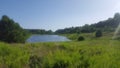 Nature pond Royalty Free Stock Photo