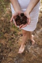 Nature protection forest bumps concept. Royalty Free Stock Photo