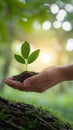 Nature protection Hand safeguards a tree, sunlight bathes green background Royalty Free Stock Photo