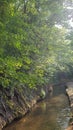 Nature in pyrinees mountains