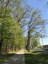 Nature and quiet streets in Storkow in Germany