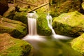 Nature rainforest river cascade. Stream in forest nature