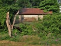 Nature Reclaiming an Abandoned House Royalty Free Stock Photo