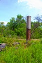 Nature Reclaiming Abandoned Industrial Site with Red Brick Chimney