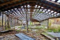 Nature Reclaims Abandoned Barn Interior in Rural Indiana