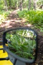 Nature reflecting in the miror of an atv