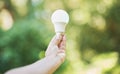 Nature, renewable energy and eco friendly lightbulb in garden and innovation, saving the planet and environment. Recycle Royalty Free Stock Photo