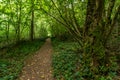 Nature reserve Aachtobel Royalty Free Stock Photo