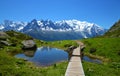 Nature Reserve Aiguilles Rouges, French Alps, France, Europe. Royalty Free Stock Photo