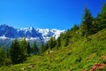 Nature Reserve Aiguilles Rouges, Graian Alps, France, Europe. Royalty Free Stock Photo