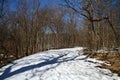 Snow covered Winding Forest Path with Deep Blue Sky - Horizontal Royalty Free Stock Photo