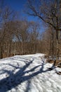 Snow  covered Winding Forest Path with Deep Blue Sky - Vertical Royalty Free Stock Photo