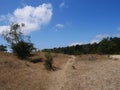 Nature reserve Amsterdamse Waterleiding Duinen