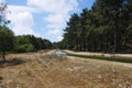 Nature reserve Amsterdamse Waterleiding Duinen Royalty Free Stock Photo