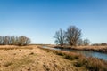 Dutch nature reserve in the beginning of the spring season Royalty Free Stock Photo