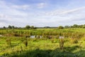 Nature reserve Binnenveld Bennekom