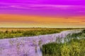 Nature reserve Camargue in France