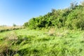 Nature Reserve Esteros del Ibera